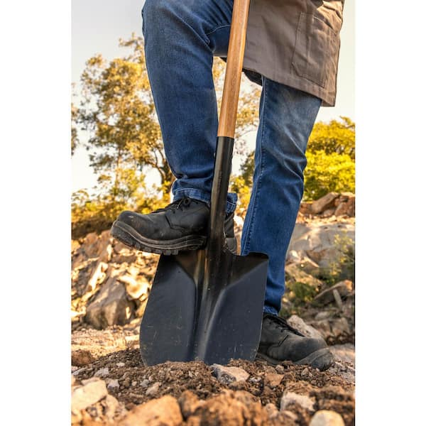 PRIVATE BRAND UNBRANDED - 43.3 in. L Wood Handle Digging Carbon Steel Shovel