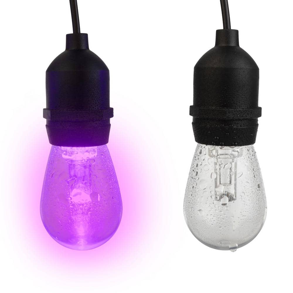 50ft Multi-Colored LED Outdoor String Lights with Remote