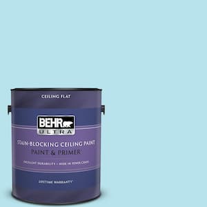 1 gal. #P490-1 Ocean Front Ceiling Flat Interior Paint and Primer