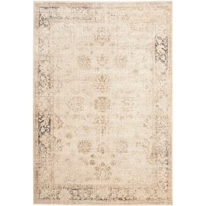 Vintage Stone 4 ft. x 6 ft. Distressed Border Area Rug