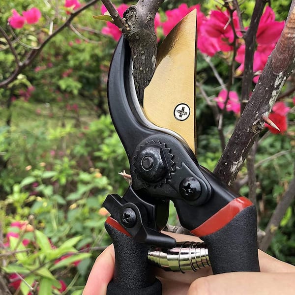 Deli 8.5 Inch Garden Scissors Professional Sharp Bypass Pruning