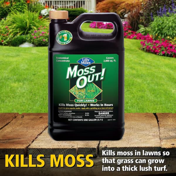 Lilly Miller Moss Out Moss Killer RTU Liquid 1 gal