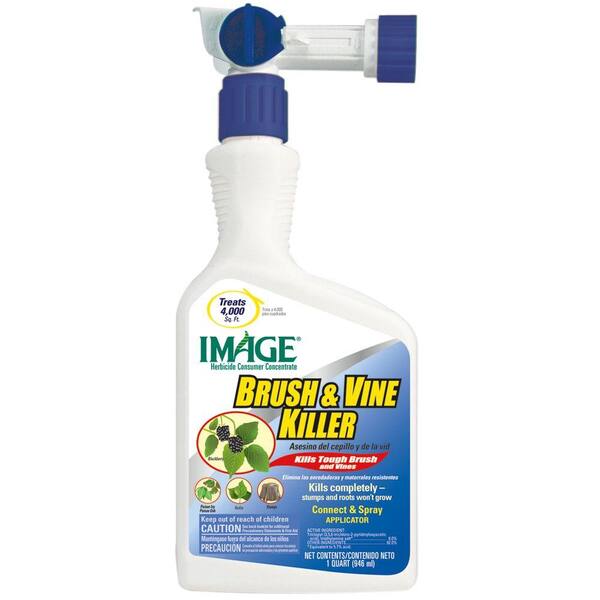 Lilly Miller 1 qt. ReadytoUse Hose 'n Go Blackberry and Brush Killer 09603030 The Home Depot