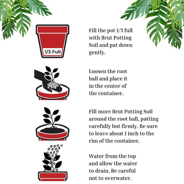 Organic Potting Soil, 1 CF, Indoor and Outdoor Container Plants, (8-Pack)