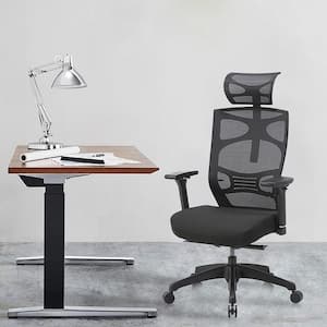 Caius Regular Black Breathable Mesh Ergonomic Office Chair with Adjustable Lumbar