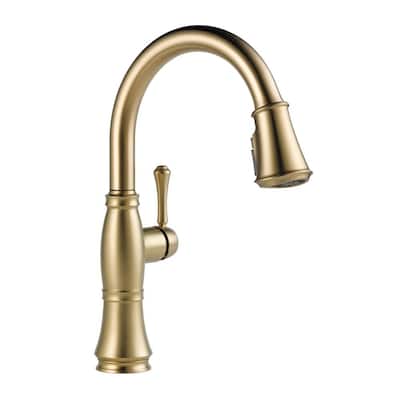 Cassidy Single-Handle Pull-Down Sprayer Kitchen Faucet in Lumicoat Champagne Bronze