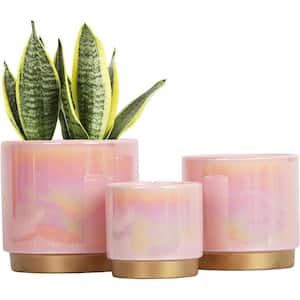 Bohemian 5.5 in. L x 6 in. W x 6 in. H Pink Ceramic Round Indoor/Outdoor Planter (3-Pack)