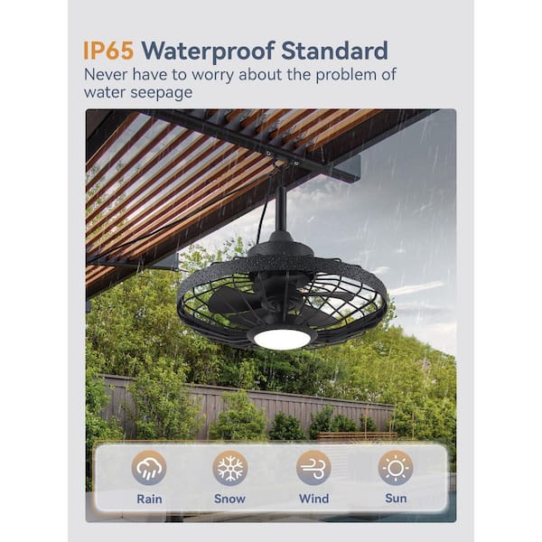 20 in. Outdoor Black Waterproof Caged Ceiling Fan with Light and Remote Control
