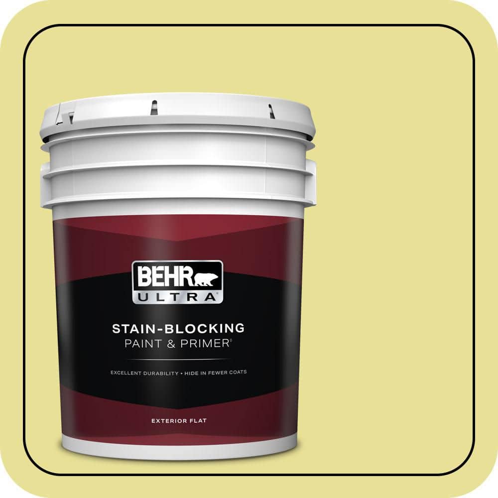 5 gal. #P340-3 Reviving Green Flat Exterior Paint & Primer price history on PriceWatchPro