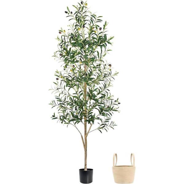 Artificial 6 ft. Olive Tree Indoor Silk Plant with Natural Trunk ...