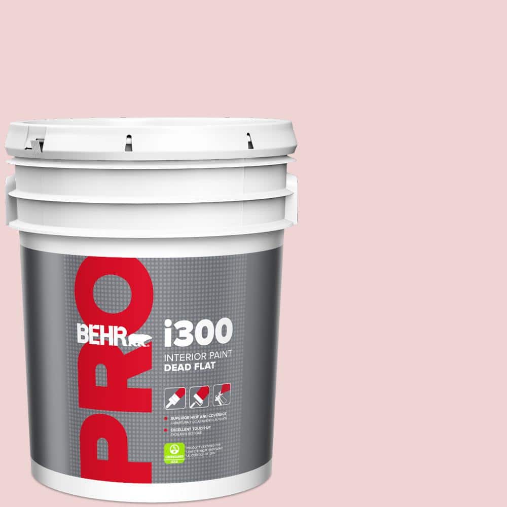 5 gal. #S140-1 Radiant Rose Dead Flat Interior Paint price history on PriceWatchPro