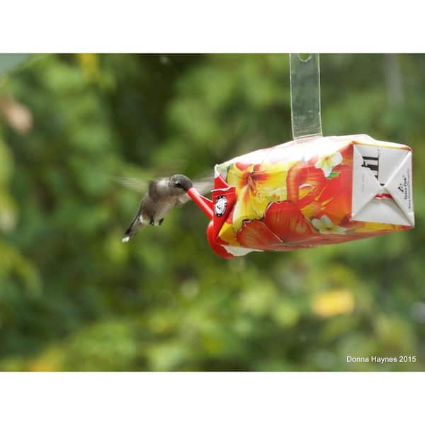 EZNectar All-Natural Ready-To-Use Hummingbird Food 2 Pack 