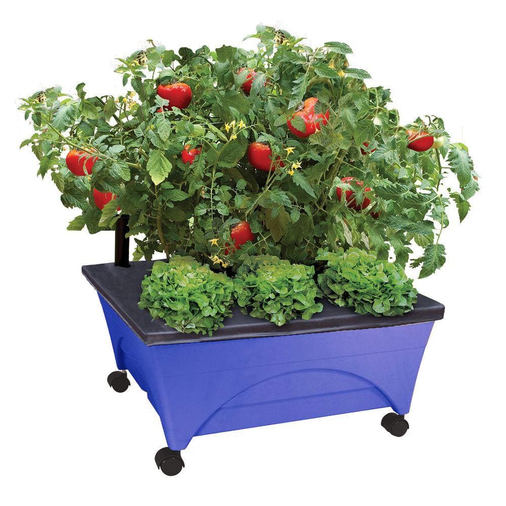 Portable Gardening: Growing Tomatoes, Peppers, and Herbs in Burlap Grow Bags  - Garden Therapy