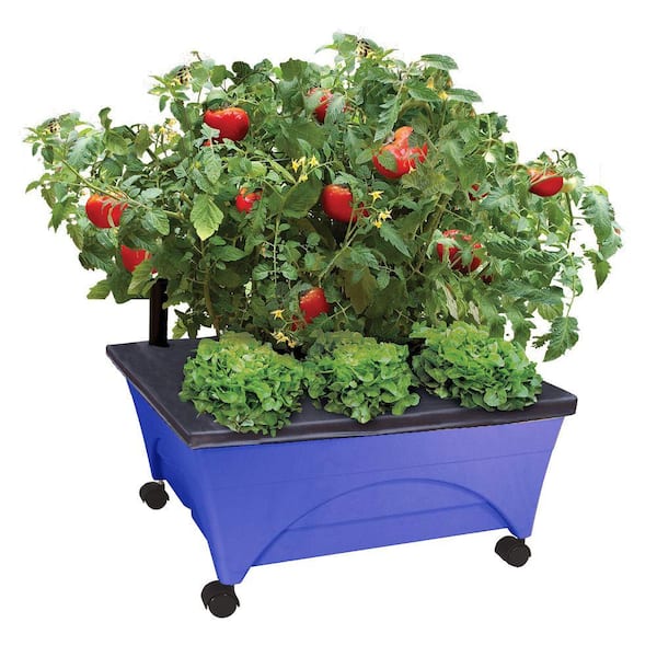 CITY PICKERS 24.5 in. x 20.5 in. Patio Raised Garden Bed Kit with Watering System and Casters in Cobalt Blue