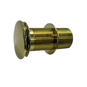 Push-Button Pop-Up Umbrella Drain in Polished Brass