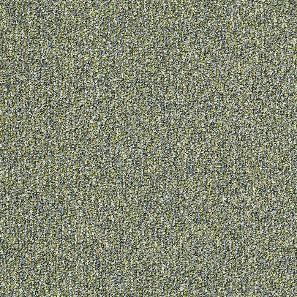 8 in. x 8 in. Berber Carpet Sample - Fallbrook - Color Hyacinth price history on PriceWatchPro