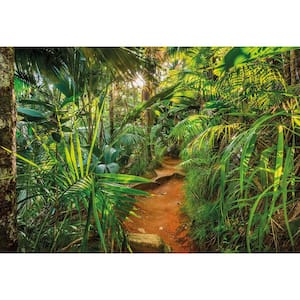 Nature Jungle Trail Wall Mural