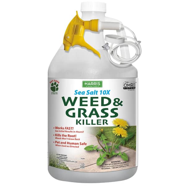 Harris 128 oz. Sea Salt Weed and Grass Killer SEAWEED-128 The Home Depot
